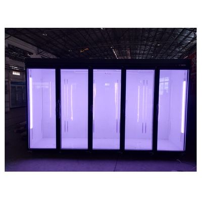 Upright Split Door Refrigerator Custom Commercial Convenience Store Freezer