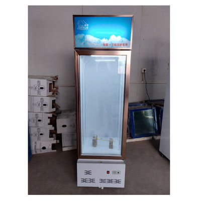 Store Single Door Upright Cooler aesthetic Beverage One Door Glass Cooler