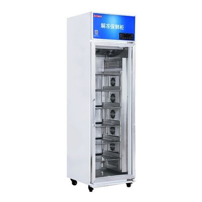 Intelligent Thawing Cabinet Showcase Meat Thaw Frozen Foods