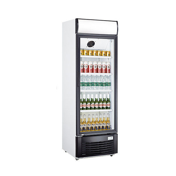 Single Door Beverage Display Cooler , 438L Commercial Beverage Fridge