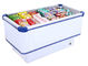 Manual Defrost 535L Commercial Chest Freezer With Static Cooling System supplier